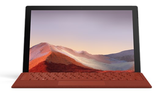 三角镇清洁和维护 Surface
